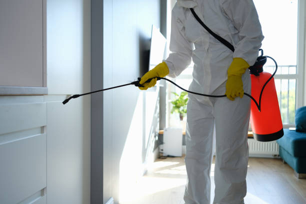 Best Attic Mold Removal  in Whiteville, NC