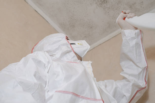 Best Local Mold Removal Service  in Whiteville, NC